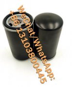 1.22.40D12RT油站液壓油循環(huán)系統(tǒng)過濾器替代濾芯1